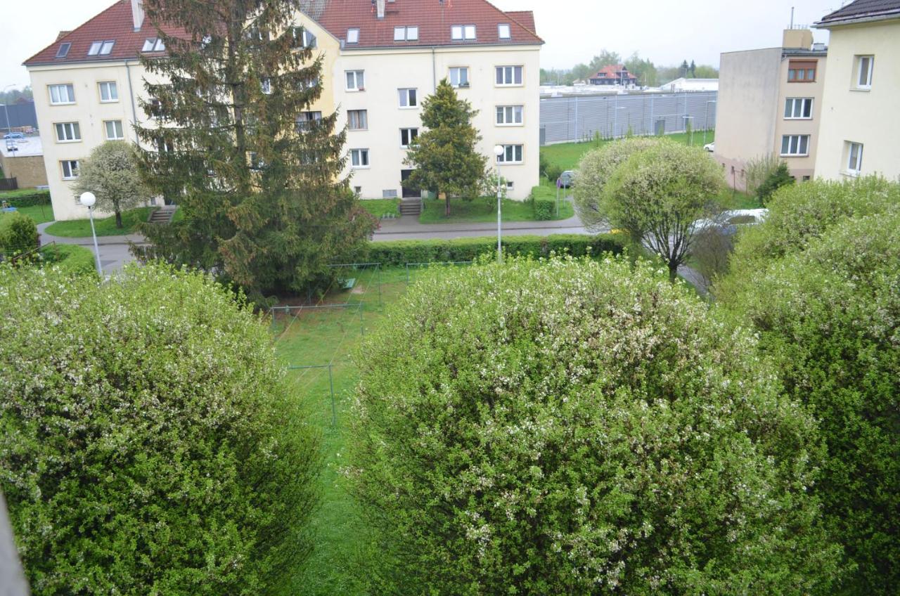 Room In Třeboň Esterno foto